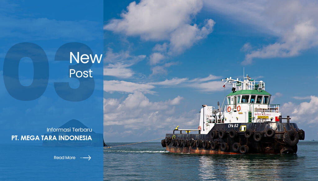 ARTIKEL MEGA TARA3(1)