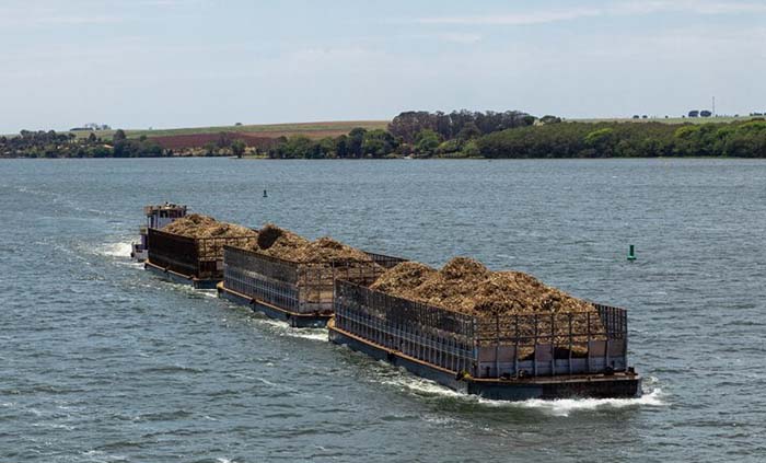 Selain batubara, clinker, dan batu split, kami juga melayani pengangkutan berbagai jenis barang curah lainnya. Kami siap bekerja sama dengan Anda untuk menyediakan solusi logistik yang tepat dan efisien.